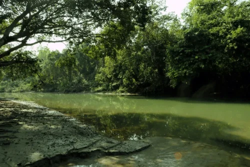 Bardiya National park Lake