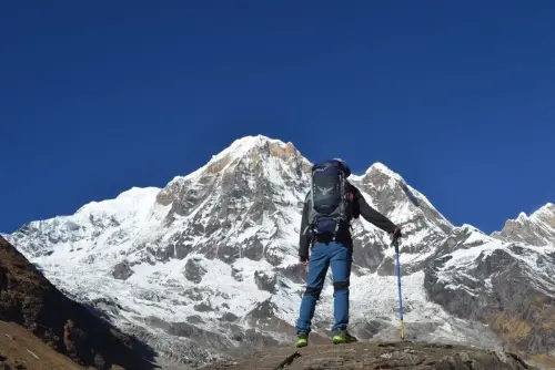 Mardi himal Treks and Expedition about us banner image